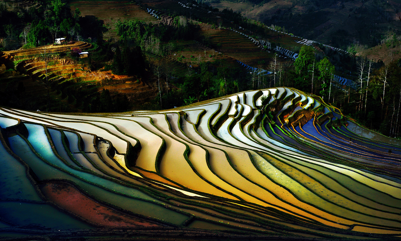 Illustration for article titled 25 espectaculares fotos de los Sony World Photography Awards